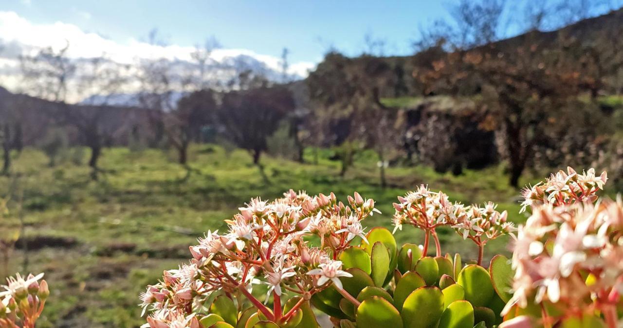 Cortijo Aguacha Villa Bayacas Екстериор снимка