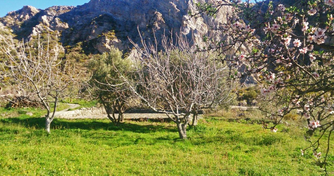 Cortijo Aguacha Villa Bayacas Екстериор снимка