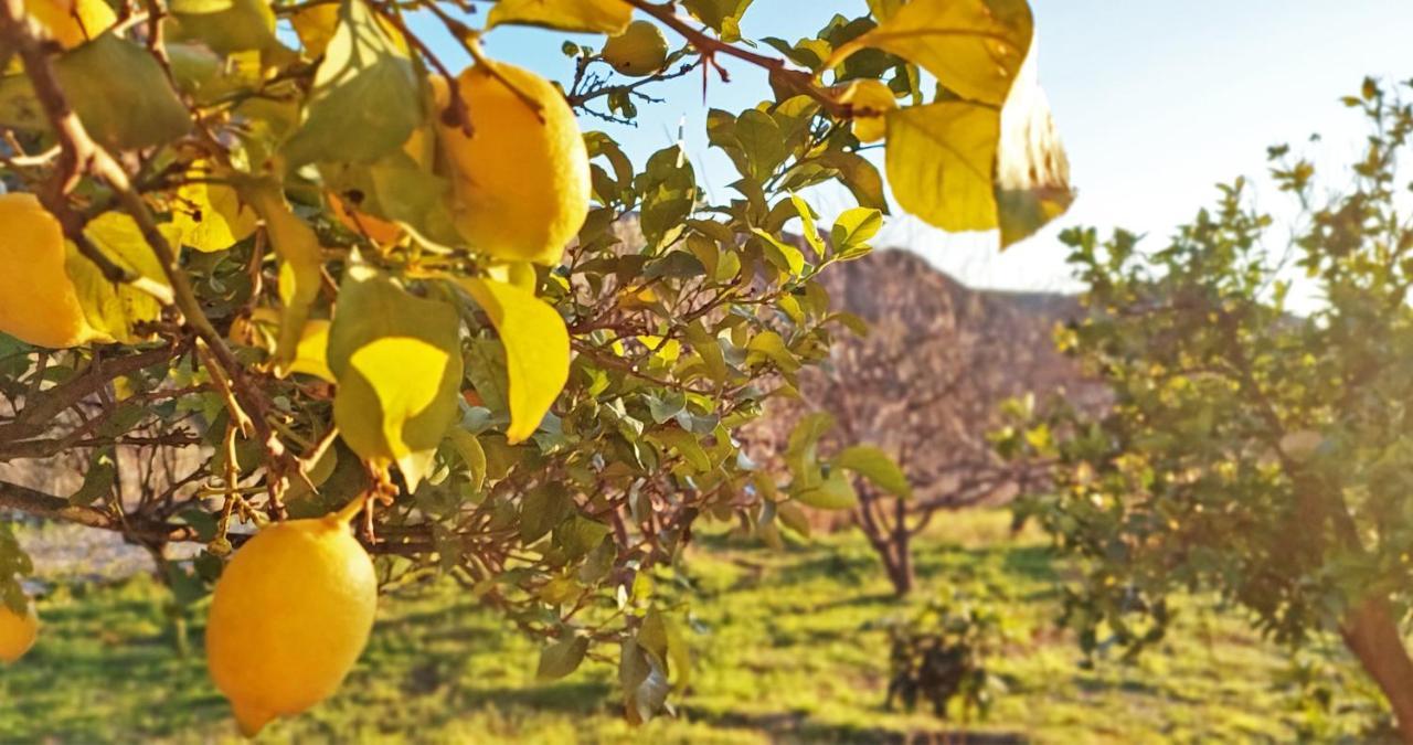 Cortijo Aguacha Villa Bayacas Екстериор снимка