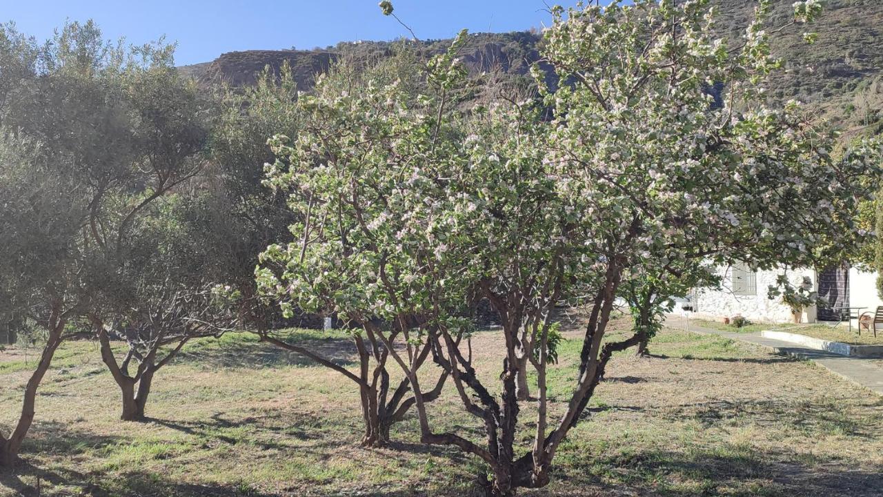 Cortijo Aguacha Villa Bayacas Екстериор снимка