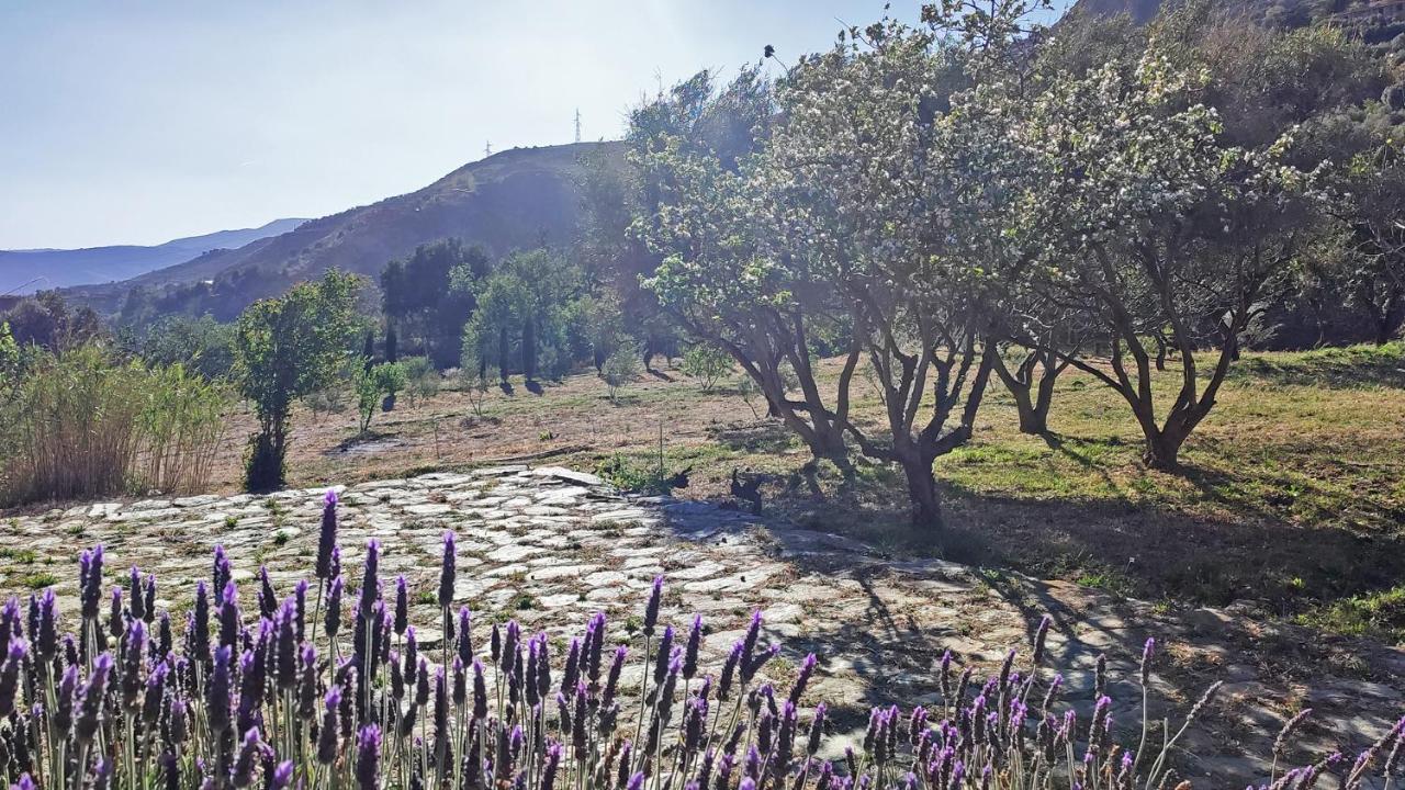 Cortijo Aguacha Villa Bayacas Екстериор снимка